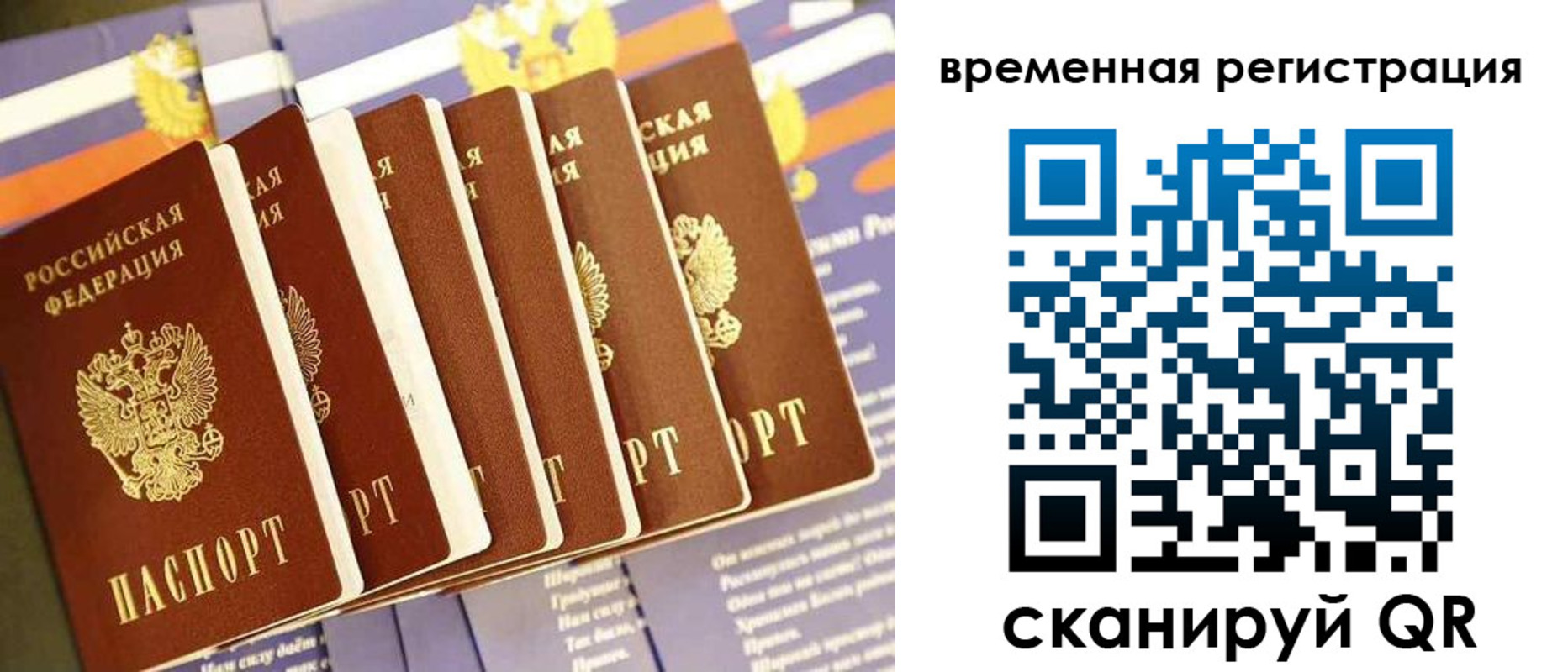 временная регистрация поиск в Светлограде